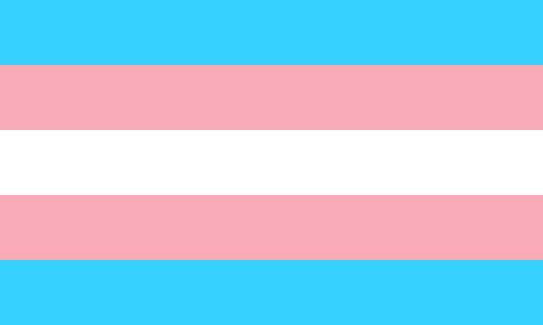 Trans flag 